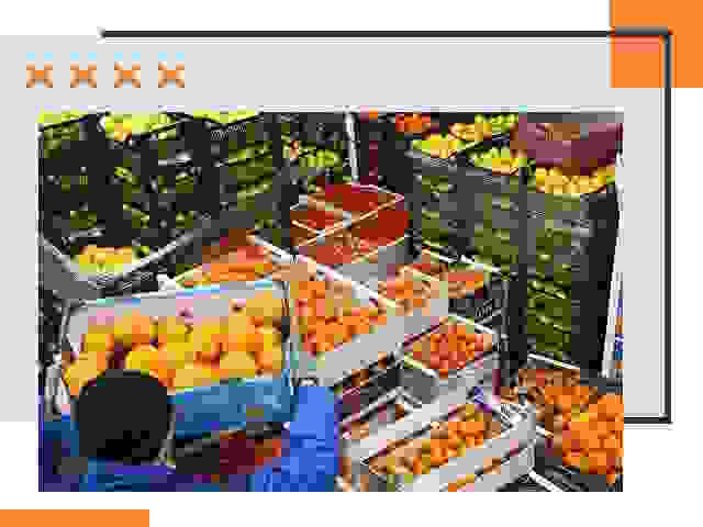 Перевозка скоропортящихся продуктов в Уссурийске